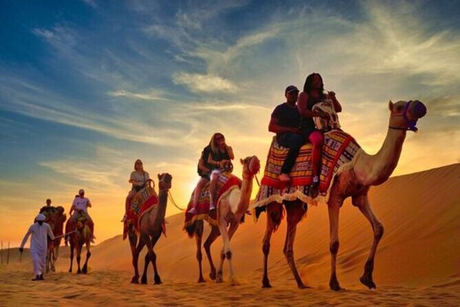 Arabian desert experience curated by Sanvi International