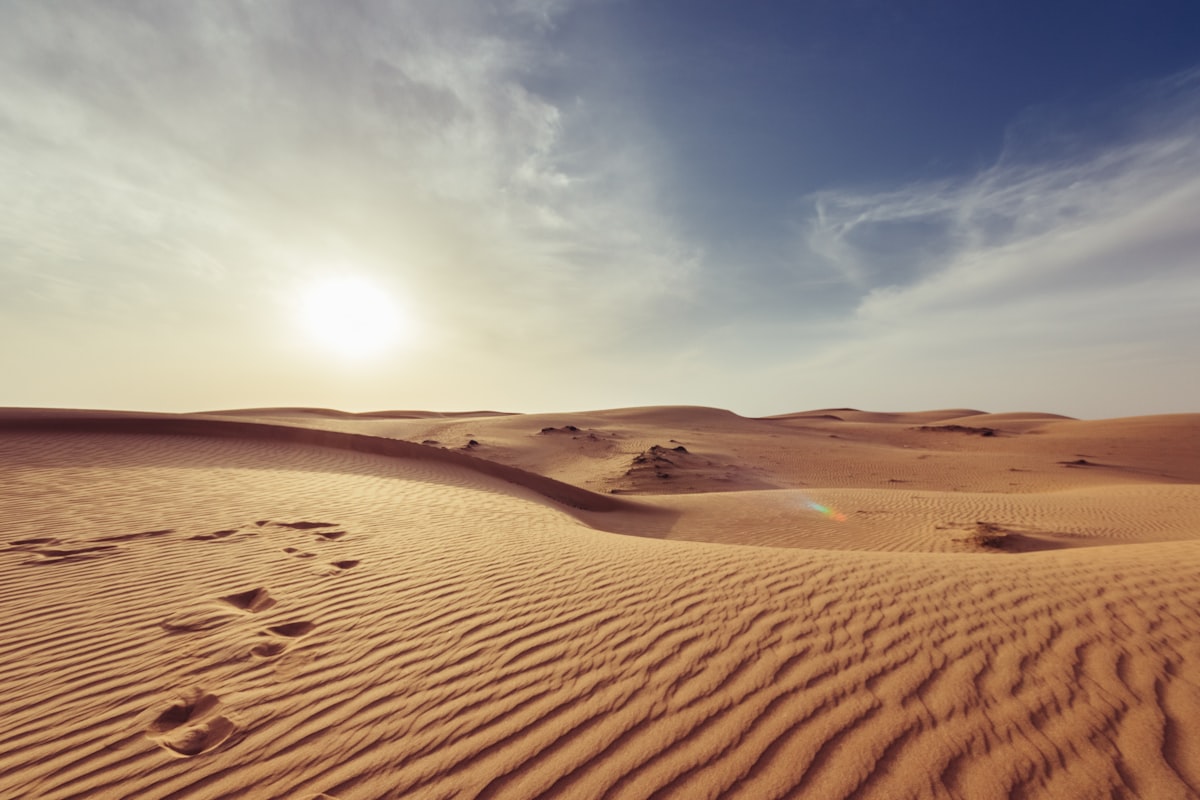 Dubai Desert Safari Guide: Dune Bashing & Luxury Camps